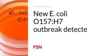 Wabah E. coli O157:H7 baru terdeteksi