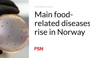 Penyakit utama yang berhubungan dengan makanan meningkat di Norwegia