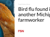 Flu burung ditemukan pada pekerja pertanian Michigan lainnya