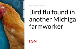 Flu burung ditemukan pada pekerja pertanian Michigan lainnya