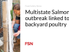 Wabah Salmonella di beberapa negara bagian terkait dengan unggas di halaman belakang