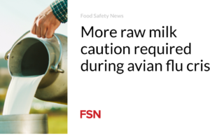Diperlukan lebih banyak kehati-hatian terhadap susu mentah selama krisis flu burung