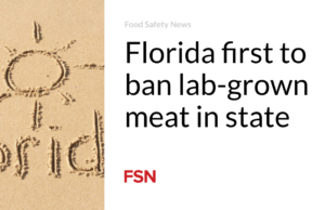 Florida adalah negara bagian pertama yang melarang daging yang diproduksi di laboratorium