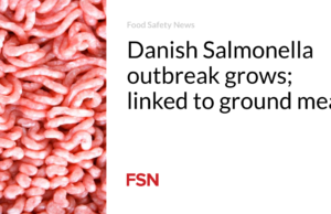 Wabah Salmonella di Denmark meningkat; dikaitkan dengan daging giling