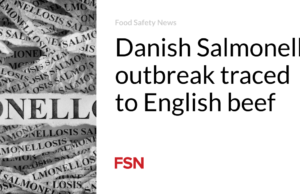 Wabah Salmonella di Denmark ditelusuri ke daging sapi Inggris