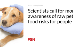 Para ilmuwan menyerukan lebih banyak kesadaran akan risiko makanan hewan mentah bagi manusia