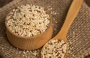 Bahan-bahan dalam Fokus: Nuike Foods mengubah biji-bijian menjadi susu