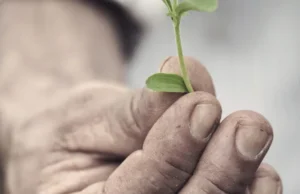 Bahan dalam Fokus: PureCircle dari Ingredion meluncurkan pemanis stevia drop-in ‘pertama dari jenisnya’