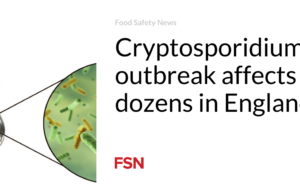 Wabah Cryptosporidium mempengaruhi lusinan orang di Inggris
