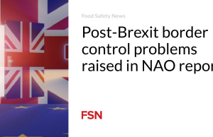 Masalah pengawasan perbatasan pasca-Brexit diangkat dalam laporan NAO