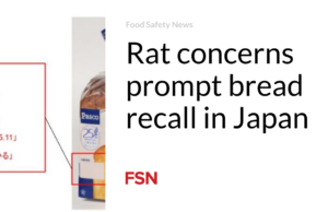 Kekhawatiran tikus menyebabkan penarikan kembali roti di Jepang