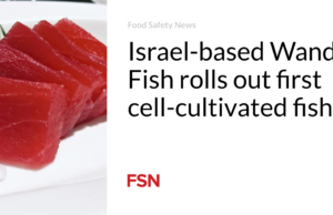 Wanda Fish yang berbasis di Israel meluncurkan ikan budidaya sel pertama
