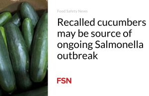 Mentimun yang ditarik kembali mungkin menjadi sumber wabah Salmonella yang sedang berlangsung