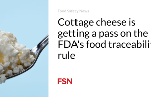 Keju cottage lolos dari aturan ketertelusuran makanan FDA