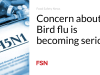 Kekhawatiran terhadap flu burung kini semakin serius
