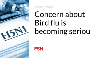 Kekhawatiran terhadap flu burung kini semakin serius