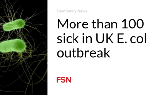 Lebih dari 100 orang sakit akibat wabah E. coli di Inggris