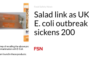 Tautan salad saat wabah E. coli di Inggris membuat 200 orang sakit
