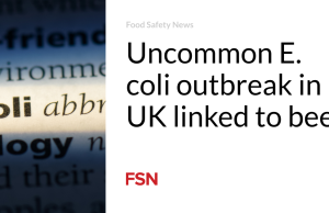 Wabah E. coli yang jarang terjadi di Inggris terkait dengan daging sapi