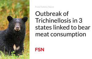 Wabah Trichinellosis di 3 negara bagian terkait dengan konsumsi daging beruang