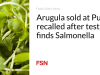 Arugula yang dijual di Publix ditarik kembali setelah pengujian menemukan Salmonella