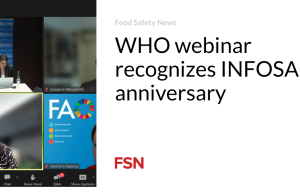 Webinar WHO memperingati hari jadi INFOSAN