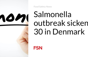 Wabah Salmonella membuat 30 orang sakit di Denmark
