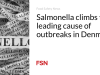 Salmonella menjadi penyebab utama wabah di Denmark