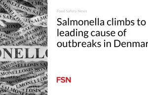 Salmonella menjadi penyebab utama wabah di Denmark