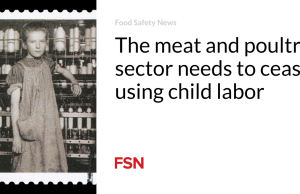 Sektor daging dan unggas perlu berhenti menggunakan pekerja anak