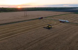 Kellanova akan membuat kerupuk Cheez-It dengan gandum regeneratif untuk toko kelontong Pantai Timur dengan uji coba yang unik