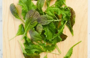 Bayer bekerja sama dengan startup CRISPR, Pairwise, untuk menghasilkan sawi tanpa rasa pahit