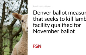 Keputusan pemungutan suara di Denver yang bertujuan untuk membunuh fasilitas domba memenuhi syarat untuk pemungutan suara bulan November