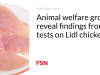 Kelompok kesejahteraan hewan mengungkap temuan dari pengujian pada ayam Lidl