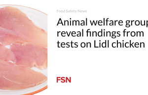 Kelompok kesejahteraan hewan mengungkap temuan dari pengujian pada ayam Lidl