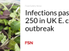 Infeksi melampaui 250 wabah E. coli di Inggris
