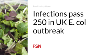 Infeksi melampaui 250 wabah E. coli di Inggris