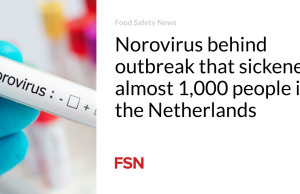 Norovirus berada di balik wabah yang membuat hampir 1.000 orang sakit di Belanda