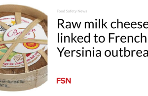 Keju susu mentah dikaitkan dengan wabah Yersinia di Prancis