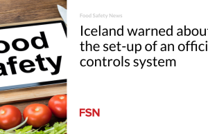 Islandia memperingatkan tentang pembentukan sistem kontrol resmi