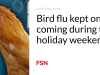 Flu burung terus berdatangan saat liburan akhir pekan