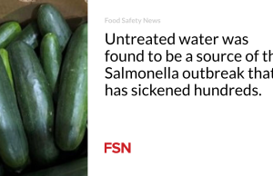 Air yang tidak diolah ternyata menjadi sumber wabah Salmonella yang telah membuat ratusan orang jatuh sakit.