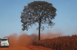 Danone, Nestlé bergabung dengan lebih dari 130 perusahaan dalam seruan untuk membalikkan hilangnya keanekaragaman hayati menjelang COP16