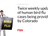 Pembaruan dua kali seminggu mengenai kasus flu burung pada manusia disediakan oleh Colorado