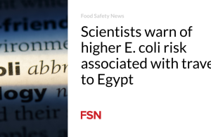 Para ilmuwan memperingatkan risiko E. coli yang lebih tinggi terkait perjalanan ke Mesir