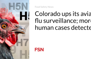 Colorado meningkatkan pengawasan terhadap flu burung; lebih banyak kasus manusia terdeteksi