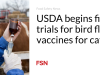 USDA memulai uji coba lapangan untuk vaksin flu burung untuk ternak