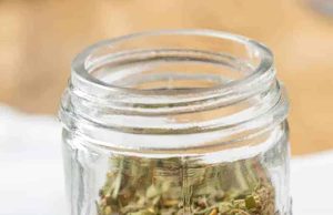 Bumbu Italia – Habiskan Dengan Uang