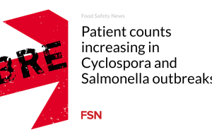 Jumlah pasien meningkat pada wabah Cyclospora dan Salmonella