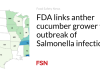 FDA menghubungkan petani mentimun dengan wabah infeksi Salmonella